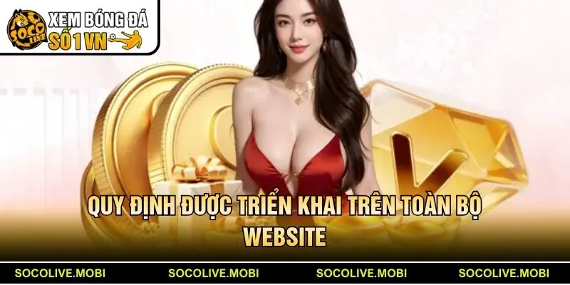 Quy định được triển khai trên toàn bộ website